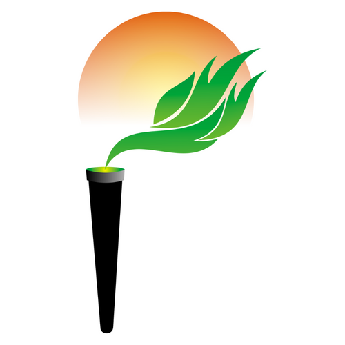 Rennova Solutions