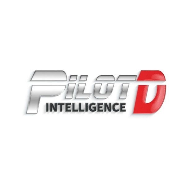 PilotD Automotive（Shanghai） Co., Ltd