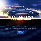 Mensor's Custom Systems