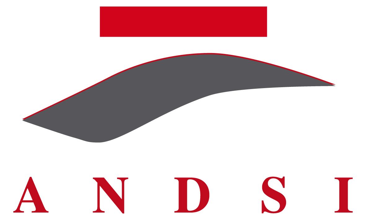 ANDSI