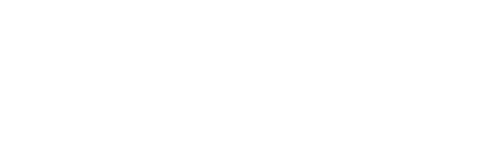 Best Practice Birmingham 2025 Logo