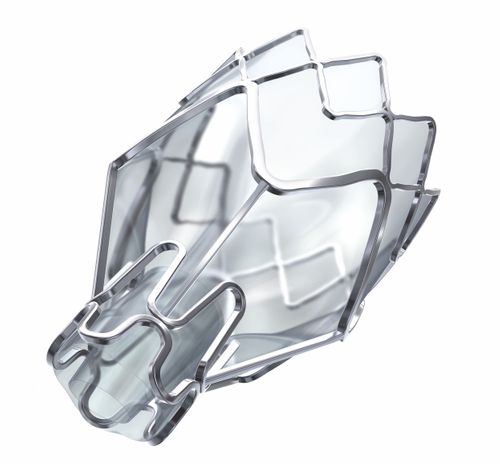 Zephyr Endobronchial Valve