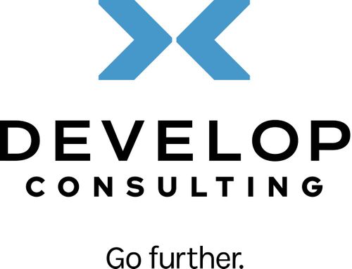 Develop Consulting