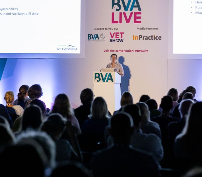 Two days of exciting CPD, debates and discussions, exhibits and hands-on sessions at the inaugural BVA Live