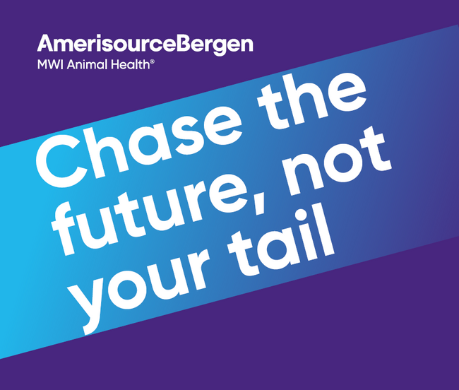 Chase the future, not your tail – Sustainable wholesale, technology and buying group solutions.