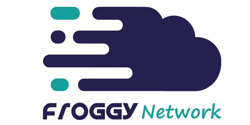 FROGGY NETWORK