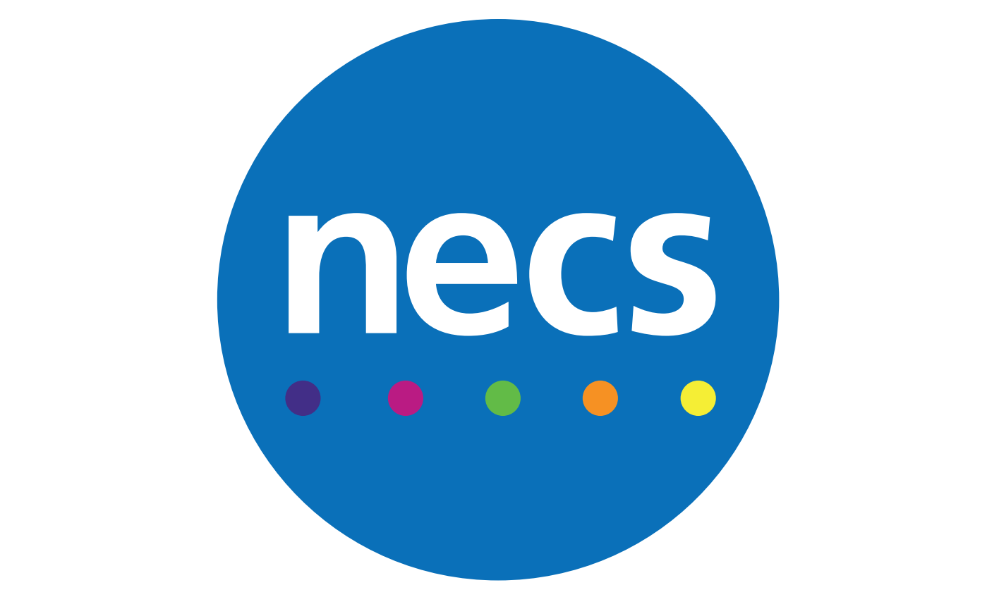 NHS North of England Care Systems Support (NECS)