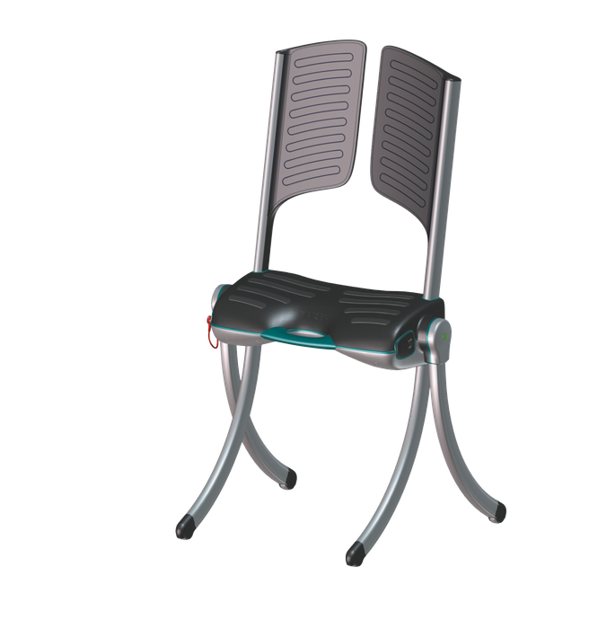 Raizer II Patient Lifting Chair
