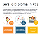 Level 6 Diploma in PBS