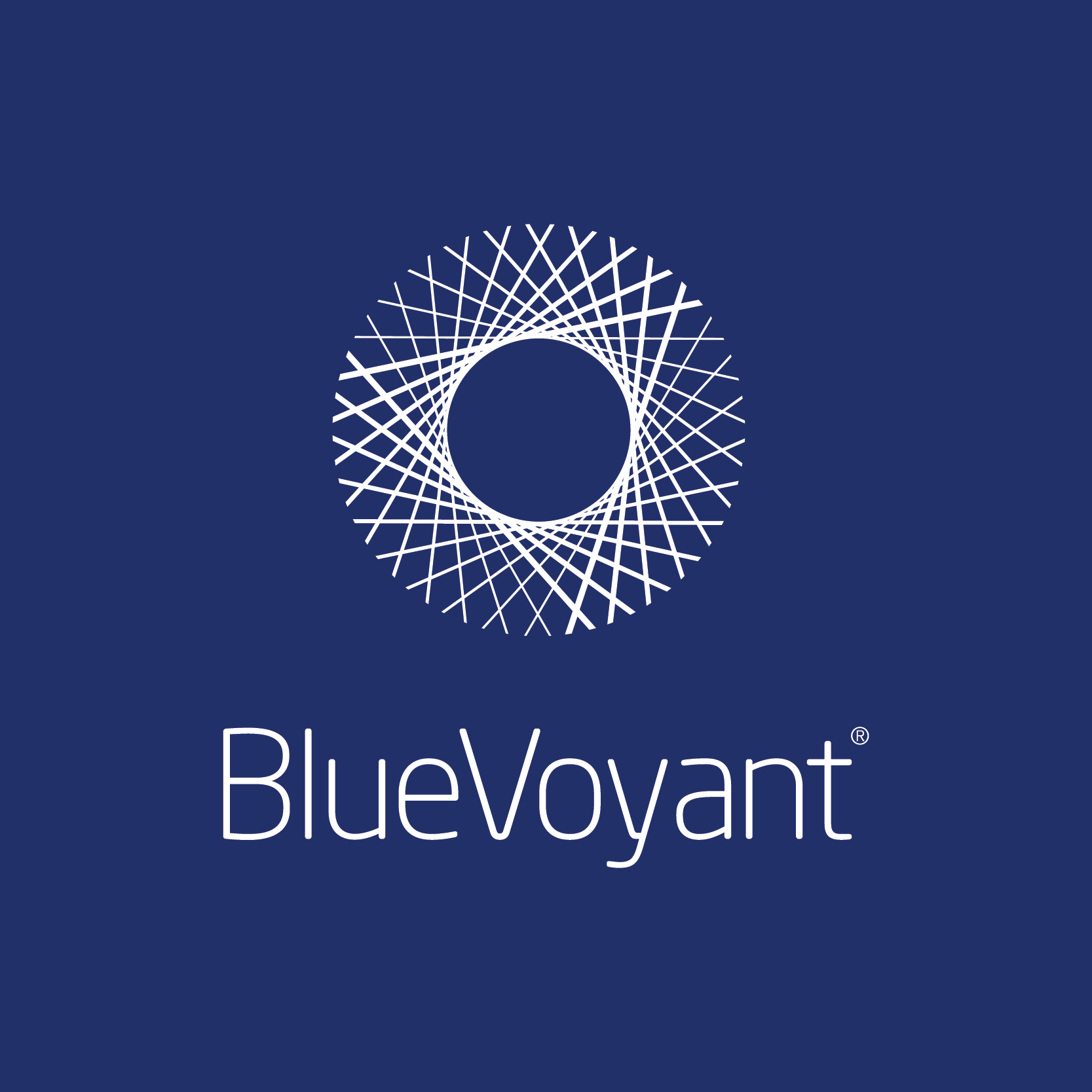 BlueVoyant