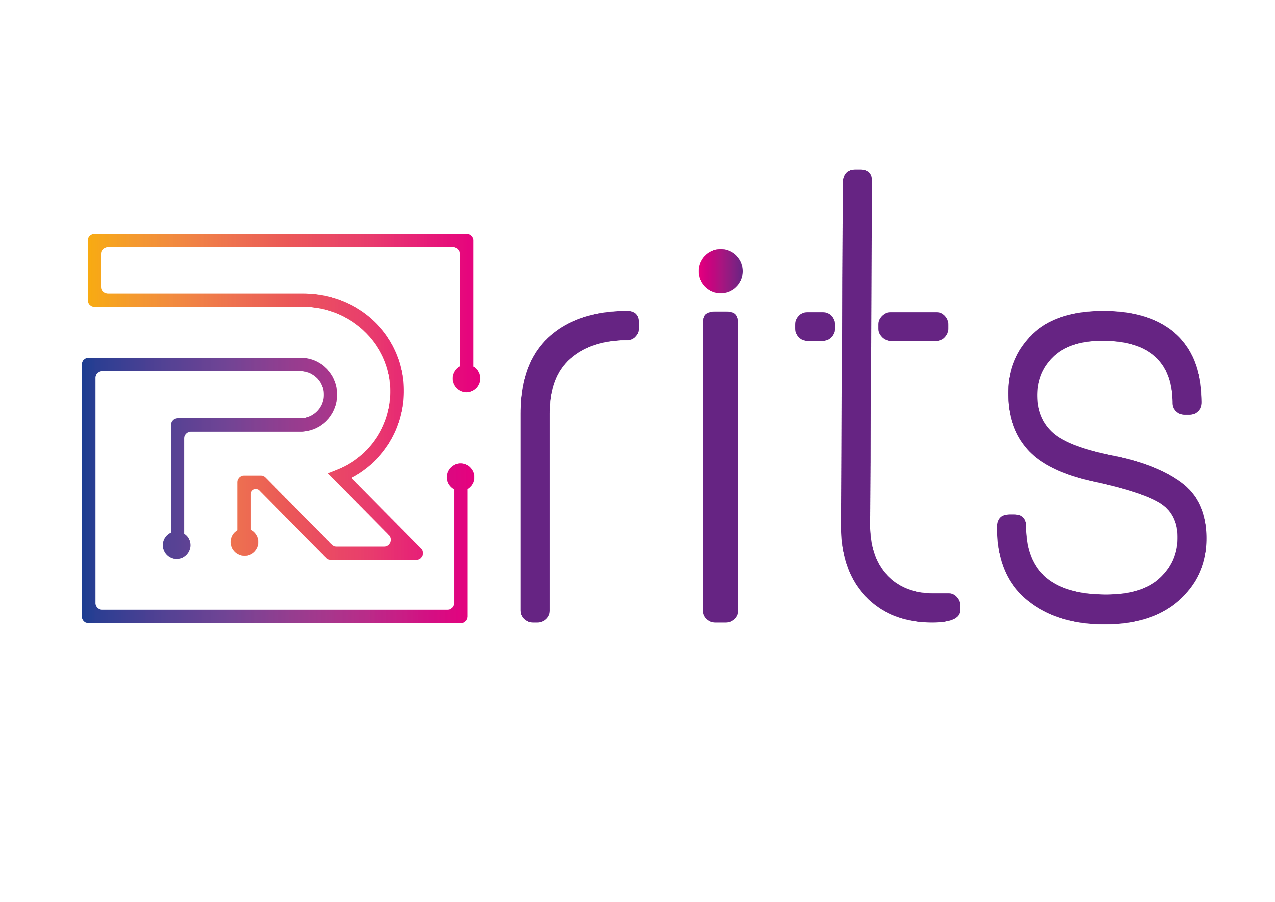 RITS Professional Services