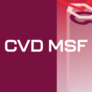 Cardiovascular Disease Modern Service Framework: what does it mean for CVRM care?