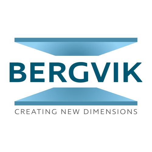 BERGVIK