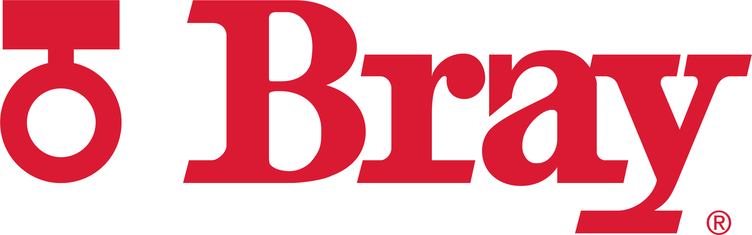 BRAY CONTROLS