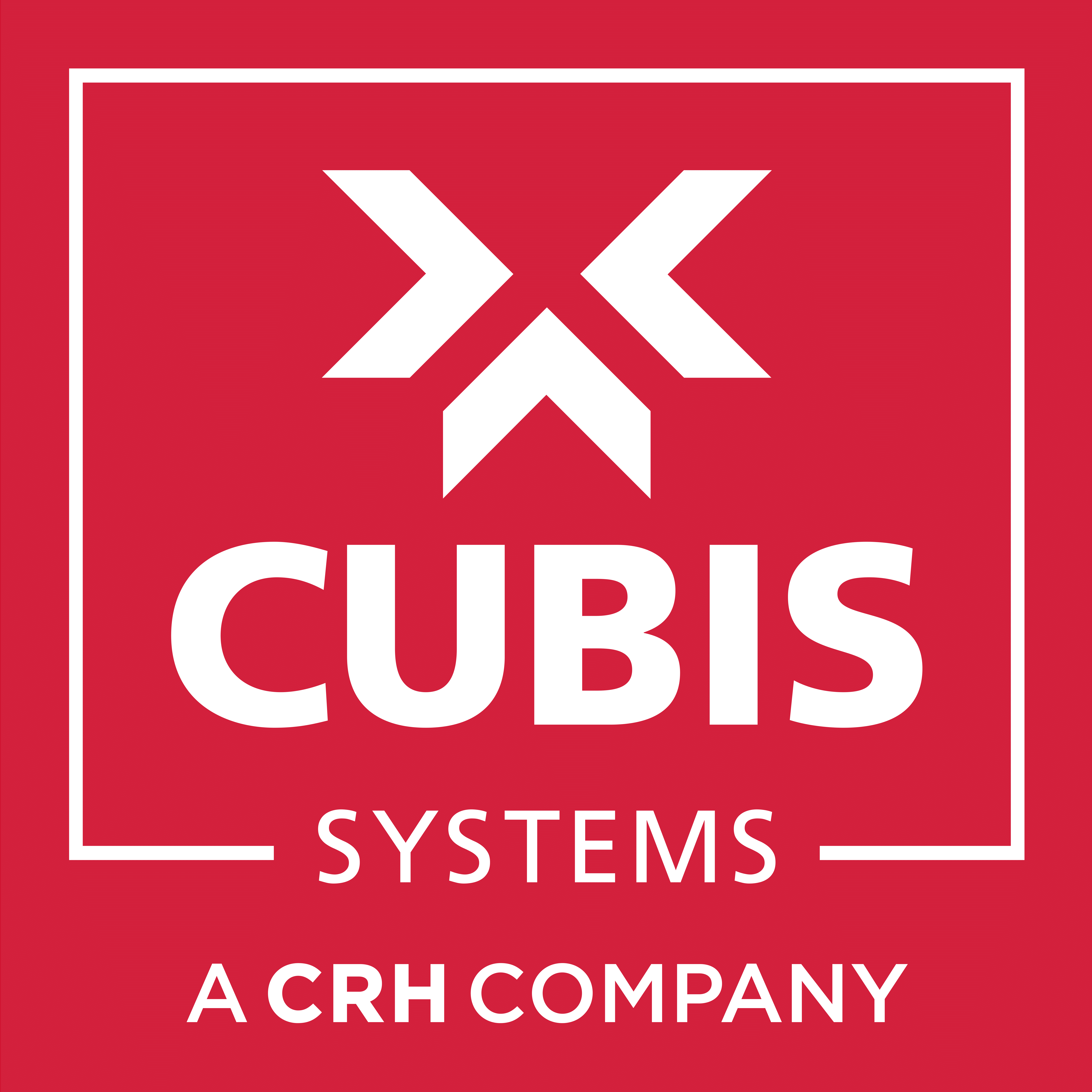 CUBIS SYSTEMS