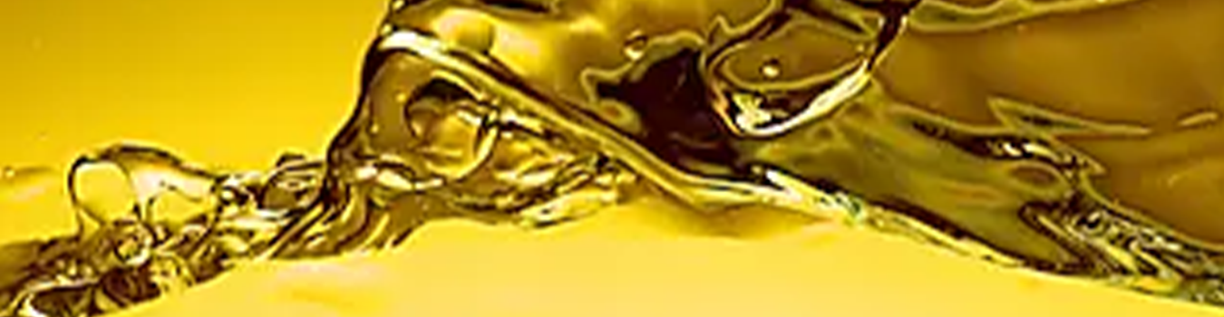 Shell Singapore Pte Ltd