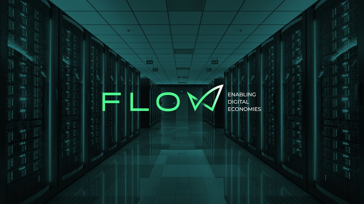 Flow Digital Infrastructure