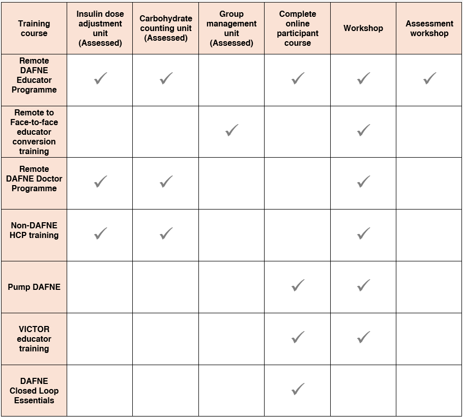 Table 2: DAFNE training opportunities for healthcare professionals