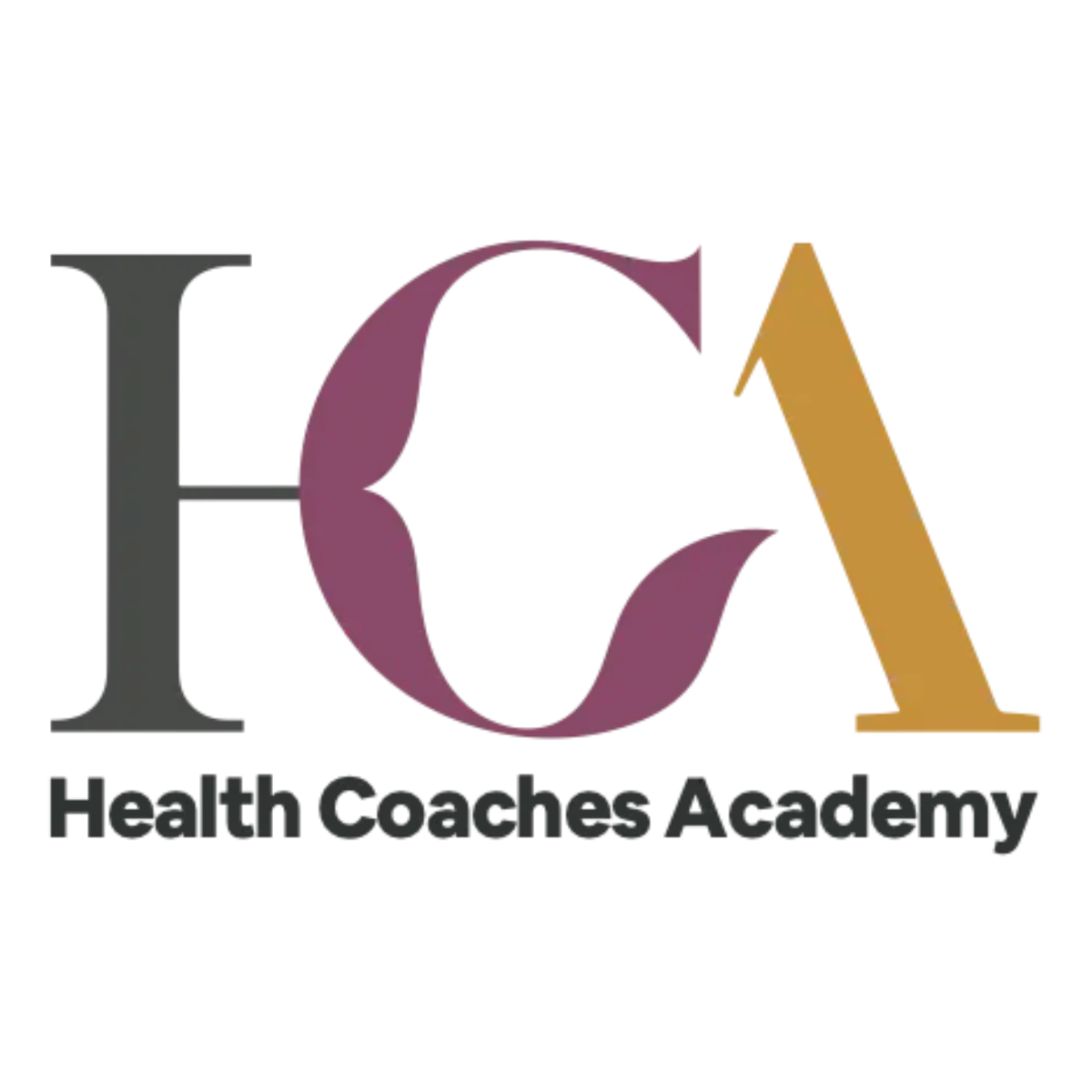 Health Coaches Academy