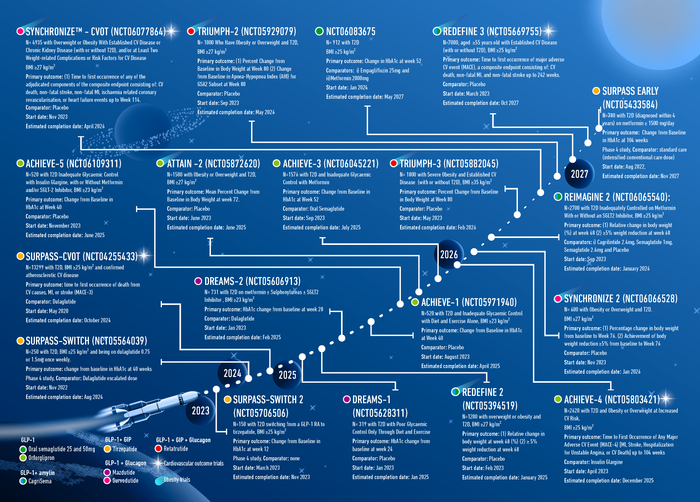 Graphic helps doctors navigate future of type 2 diabetes treatment