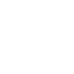 Team Type One Style