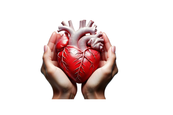The SGLT2-HYPE study: the cardiovascular and renal protective mechanism of SGLT2 inhibitors