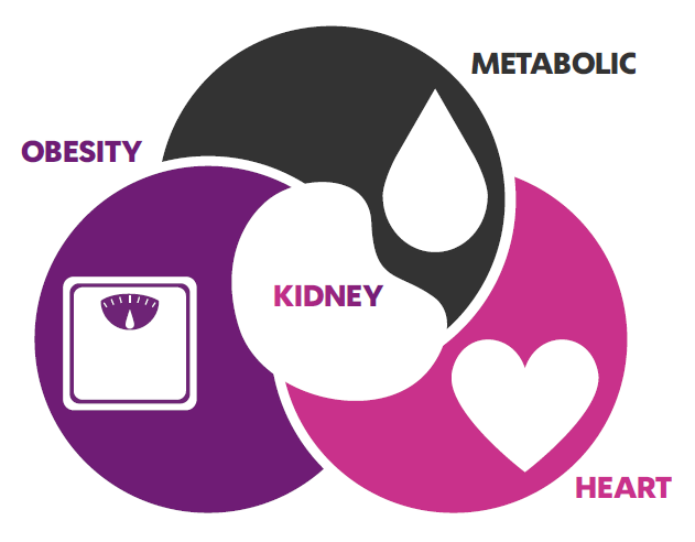 Cardiovascular renal metabolic (CVRM): the interplay between HCP, patient/carer and the voluntary sector
