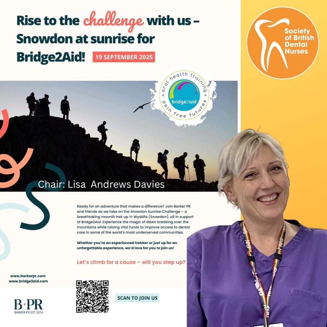 Lisa’s Upcoming Climb for Bridge2Aid