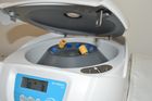 Wellness Medical Laboratory | Comprehensive Pathology Testing Solutions