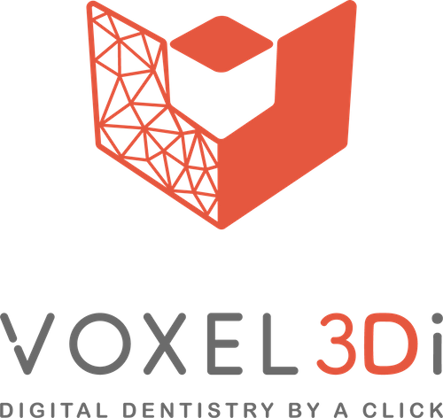 Voxel3DI