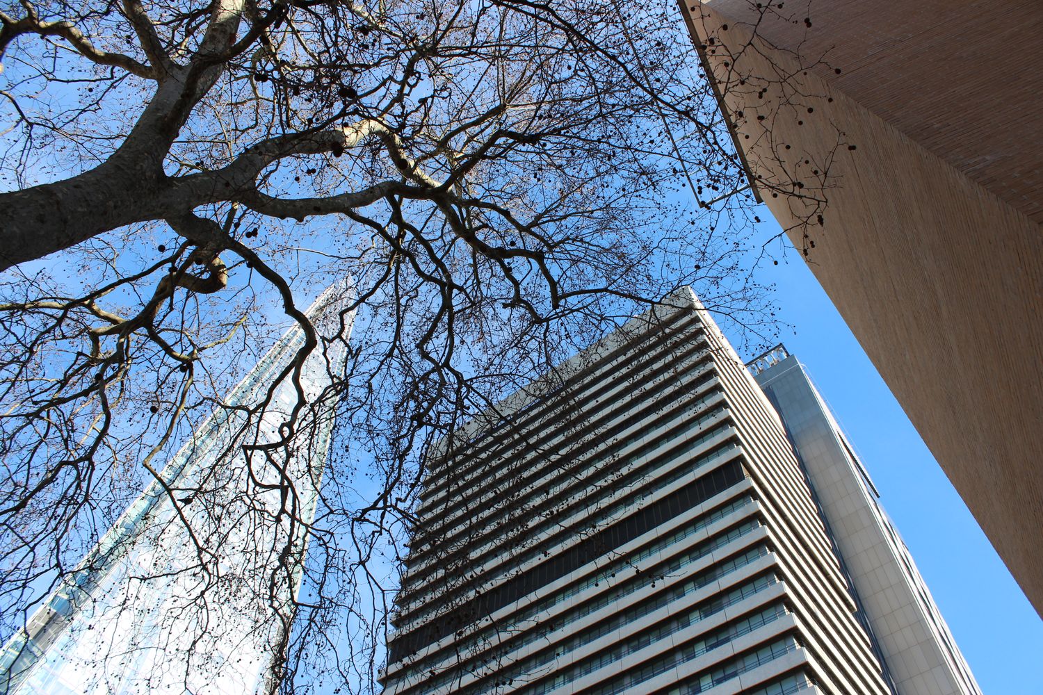 King's College London