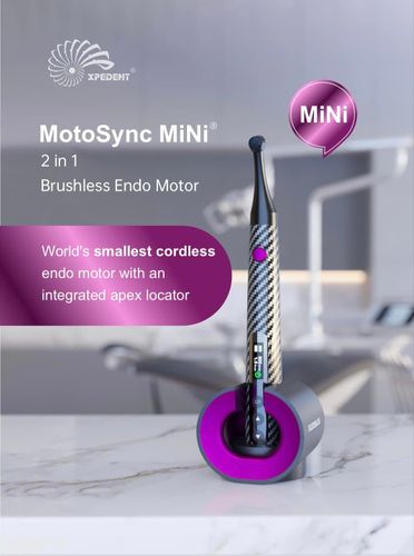 Xpedent Endo motor ' Endo Mini '