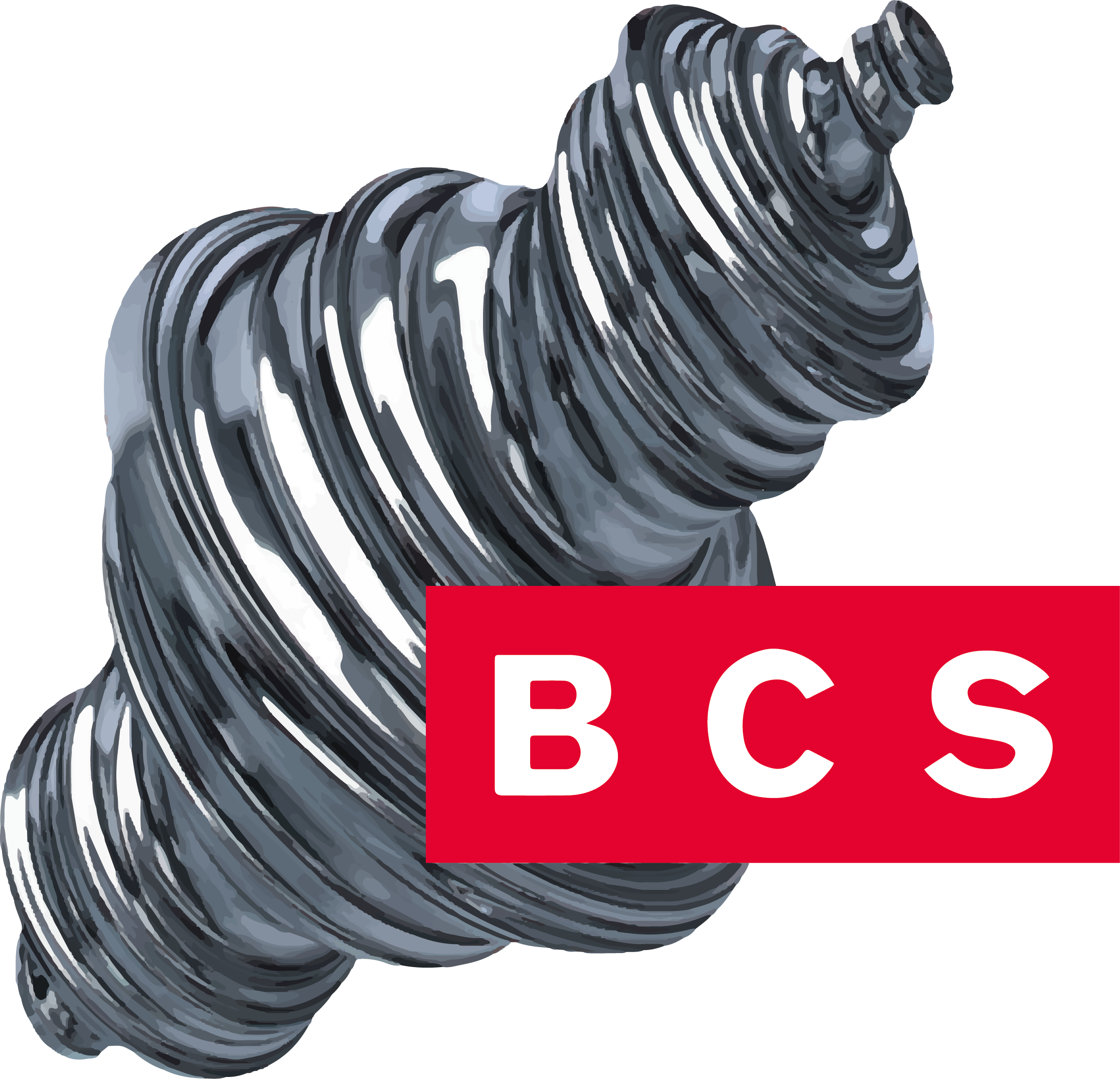 BCS dental alloys