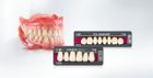 VITA PROSTHETIC SOLUTIONS - Even better solutions  for perfect dentures