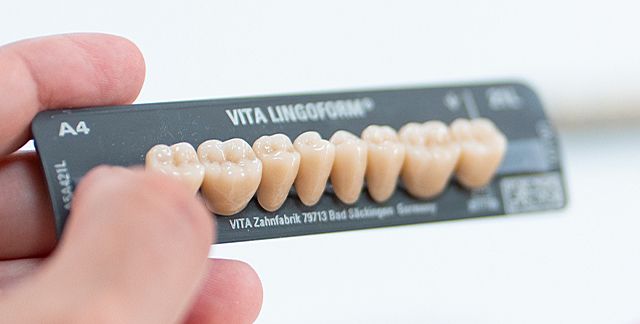 VITAPAN® LINGOFORM Posterior - The Premium posterior teeth combine function and esthetics.