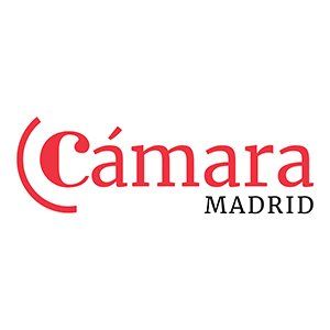 Portal TIC Negocios de la Cámara de Madrid: Impulsando la Transformación Digital y la Visibilidad Empresarial