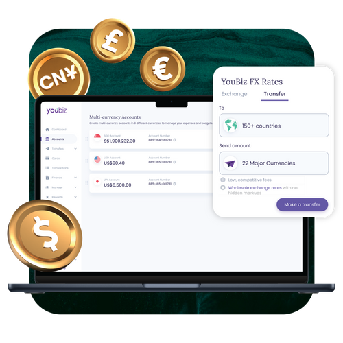 Multi-Currency Business Accounts