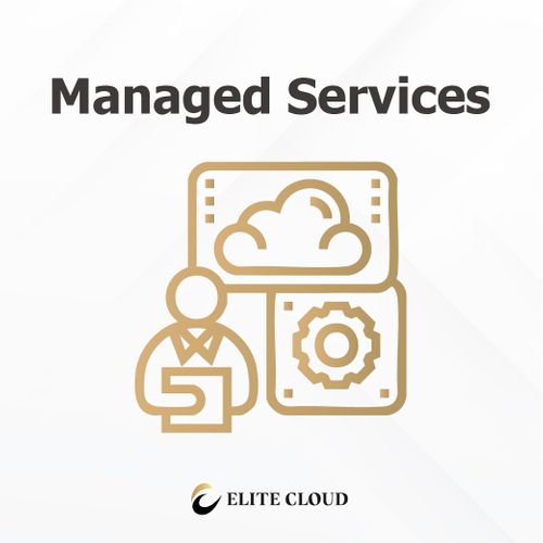 Managed Services