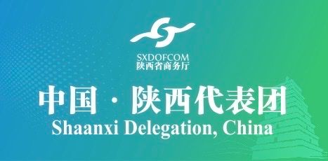 Shaanxi Foreign Economic and Trade International Digital Exhibition Co., Ltd
