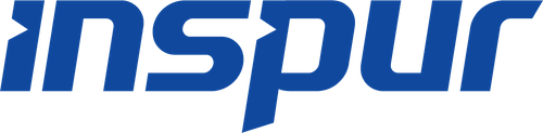 INSPUR