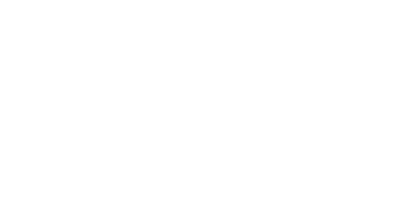 Autonomous Ship