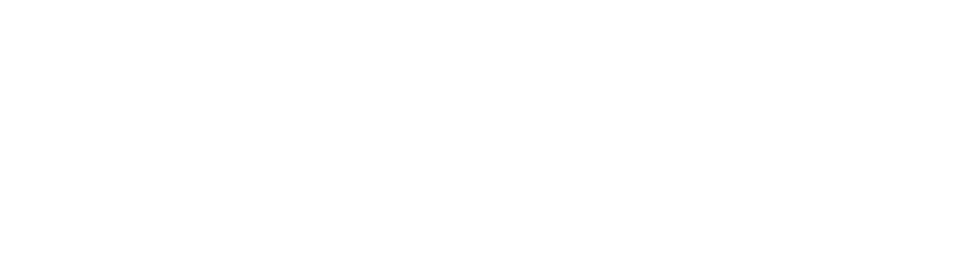 iVT logo