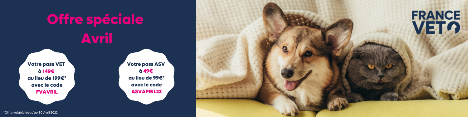 rencontre nationale vétérinaires