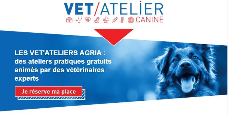 Les Vet’Ateliers Agria disponibles en replay