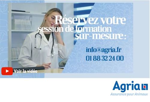 Formation sur-mesure et gratuite pour obtenir rapidement les clés de l’assurance pour animaux