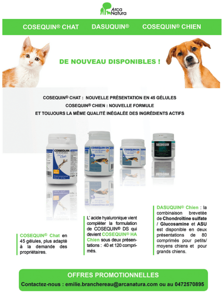 Cosequin Chat Cosequin Chien Et Dasuquin De Nouveau Disponibles France Vet Le Congres Des Veterinaires