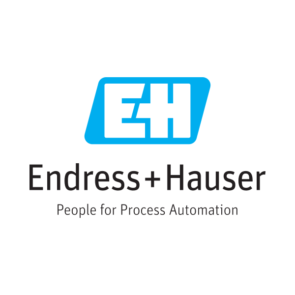 Endress + Hauser