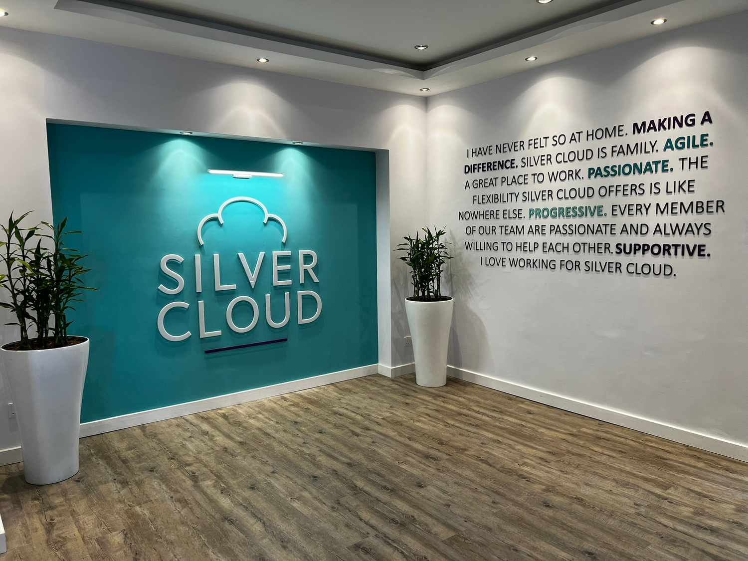 Silver cloud HR
