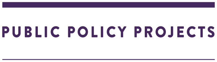 public policy projects