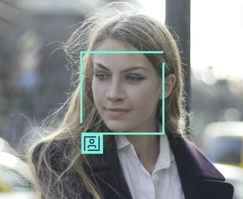Deep Natural Anonymization (DNAT)